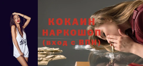 ешки Алексин
