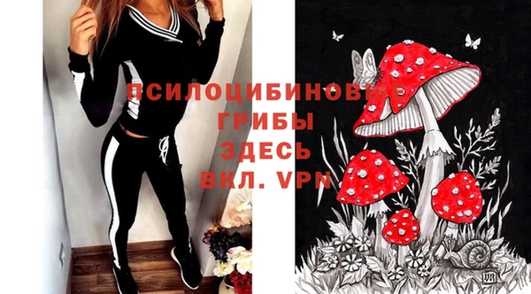прущий лед Арсеньев