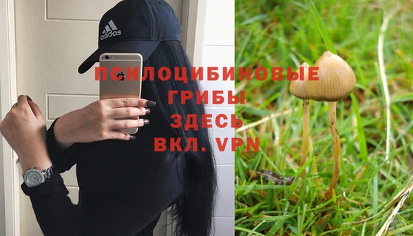 прущий лед Арсеньев